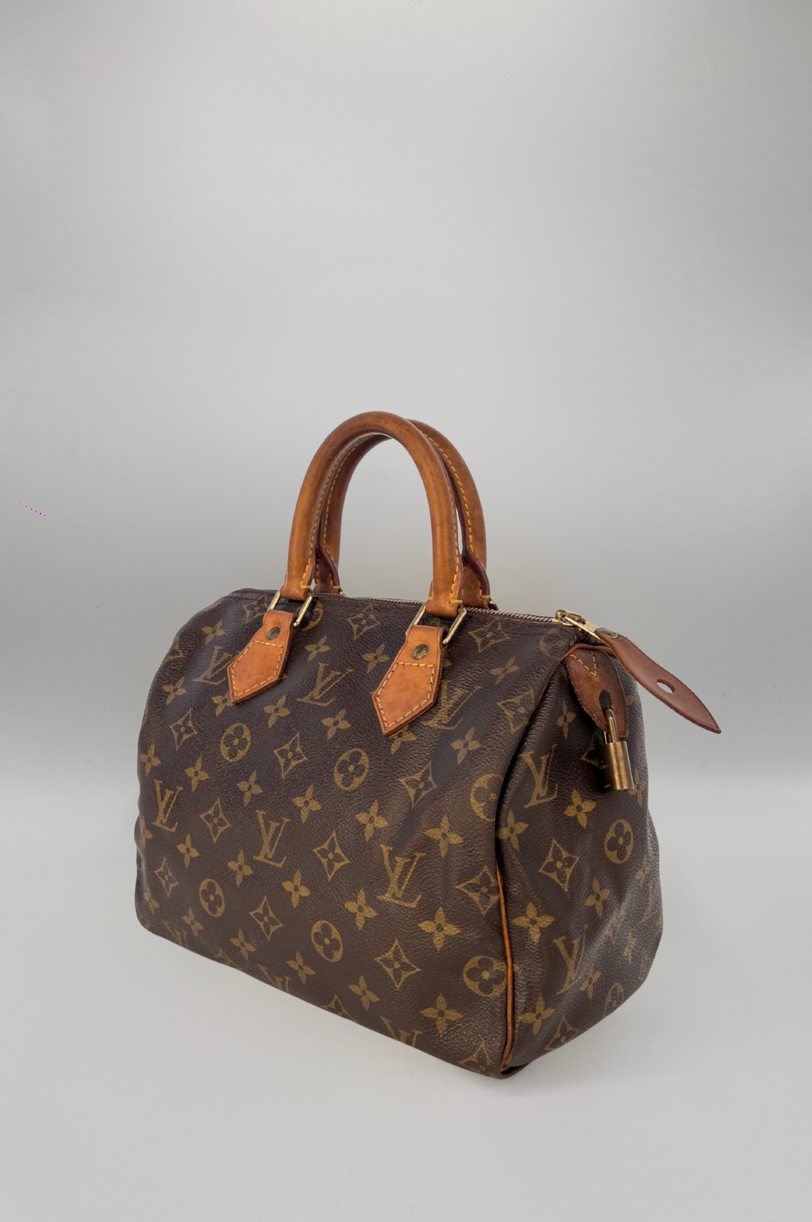 LOUIS VUITTON SPEEDY 25