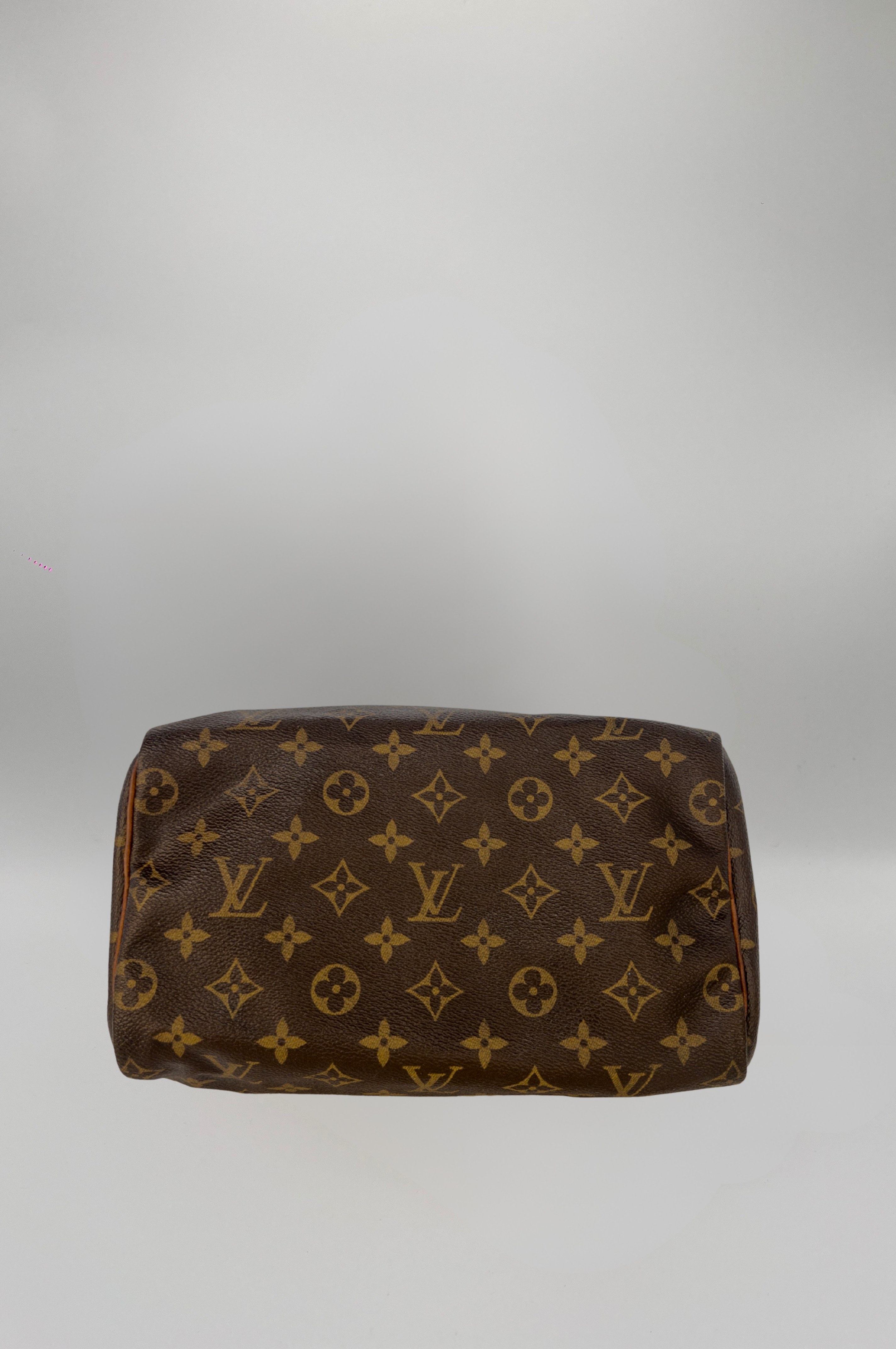LOUIS VUITTON SPEEDY 25