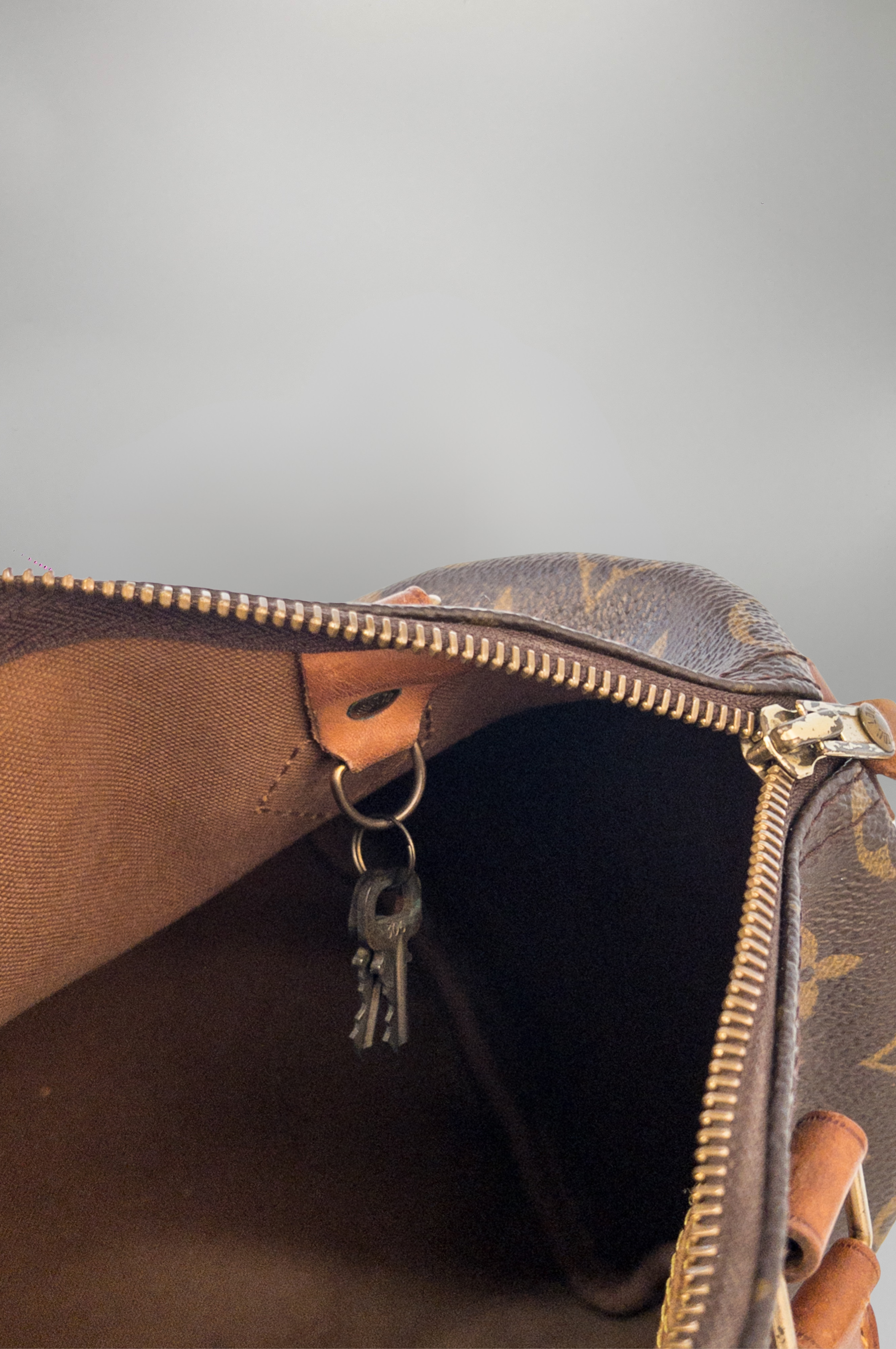 LOUIS VUITTON SPEEDY 25