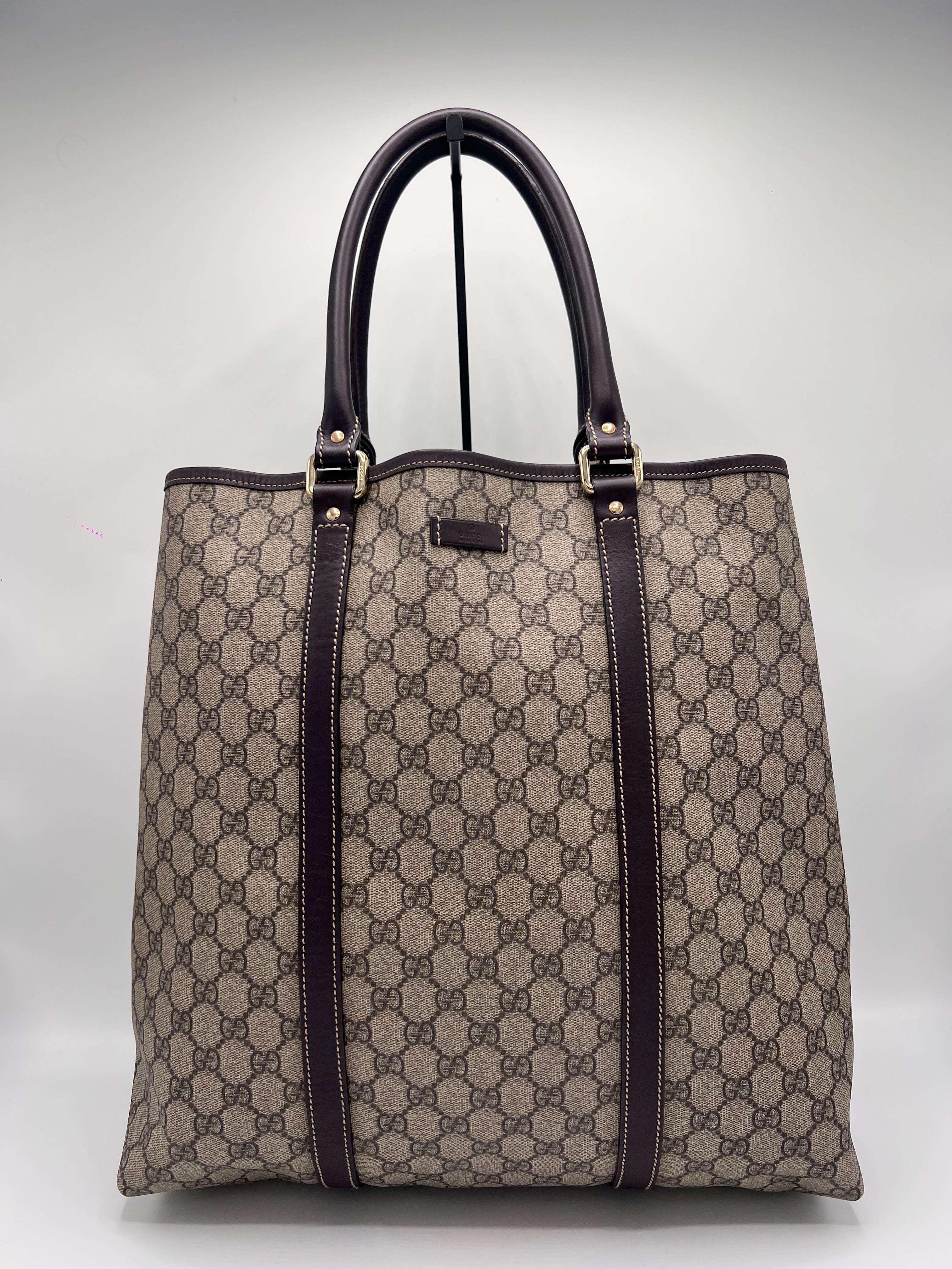 Gucci canvas patterned totebag with brown accents on a light gray background